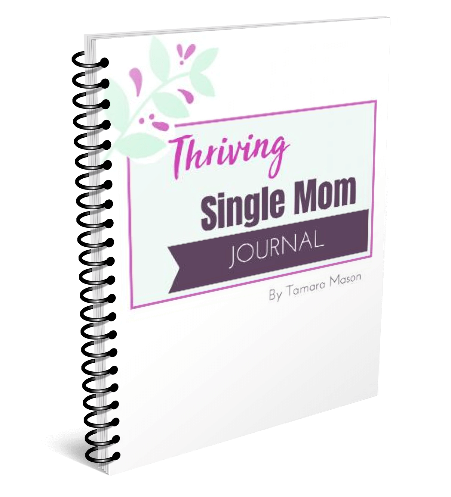 Single Mom Journal