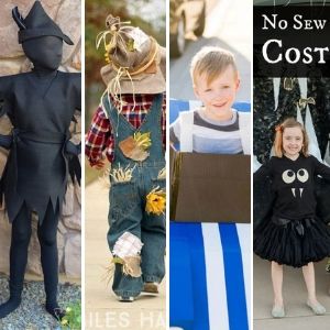 Halloween costumes no sewing