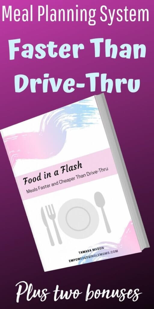 food in a flash book